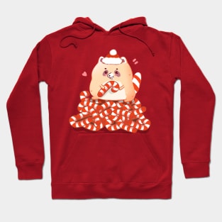 Candy Cane Racoon Hoodie